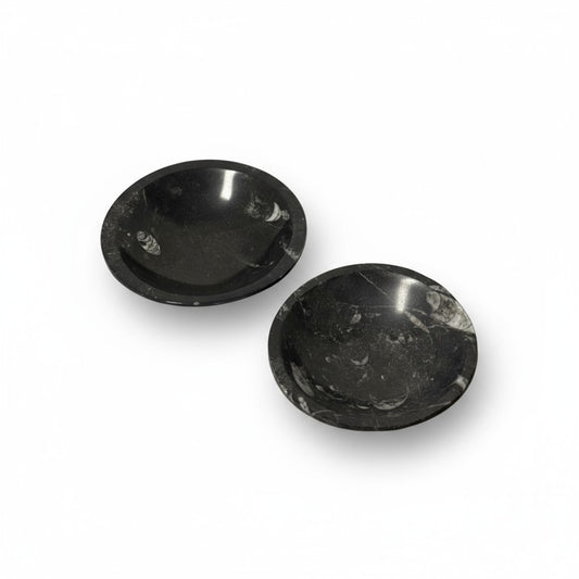 Orthoceras Fossil Bowls