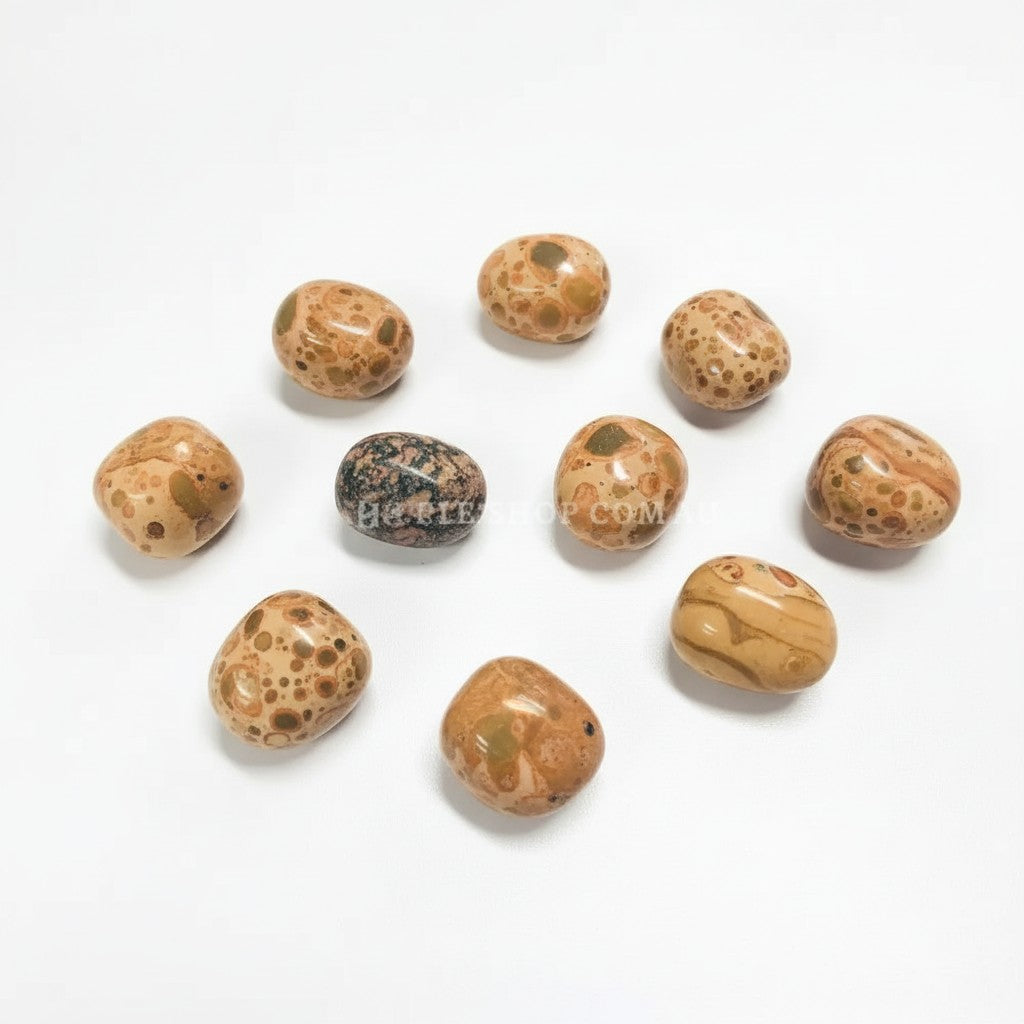 Leopardite Jasper Tumbles ~ Shamanic Journey & Boosts Strategic Thinking