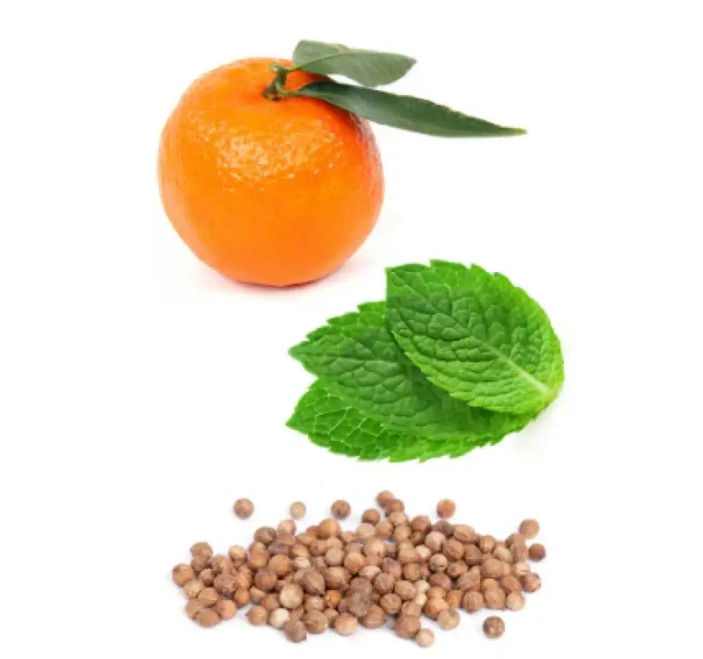 Doterra Motivate Essential Oil Roll On Blend Essential Oils