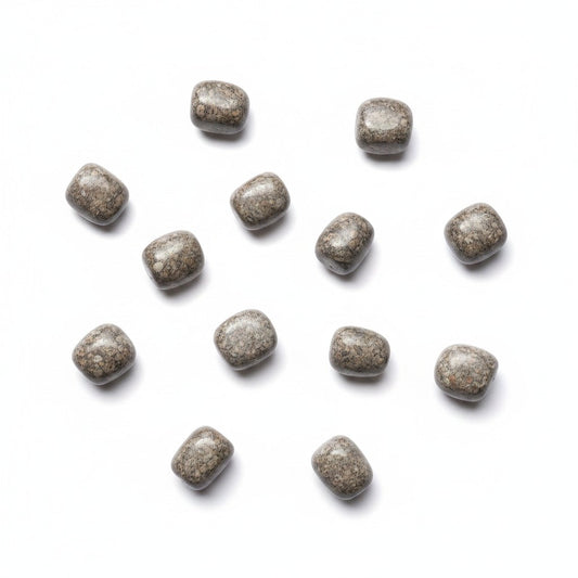 Sea Lily Fossil Tumbles Crystals ~ Boosts Patience & Ancestral Healing