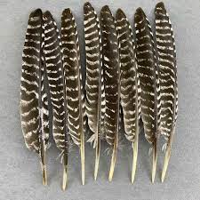 Smudge Wild Feather Ethically Sourced