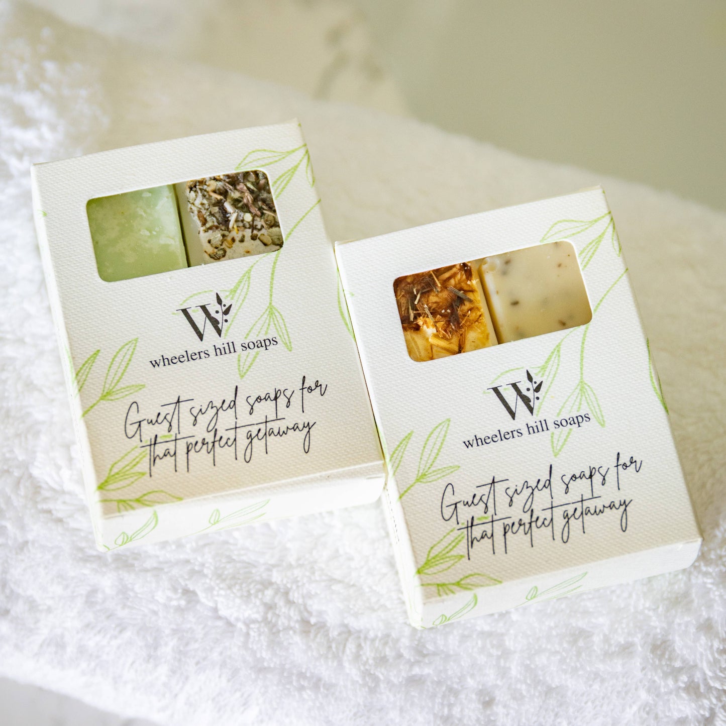 Guest Soaps