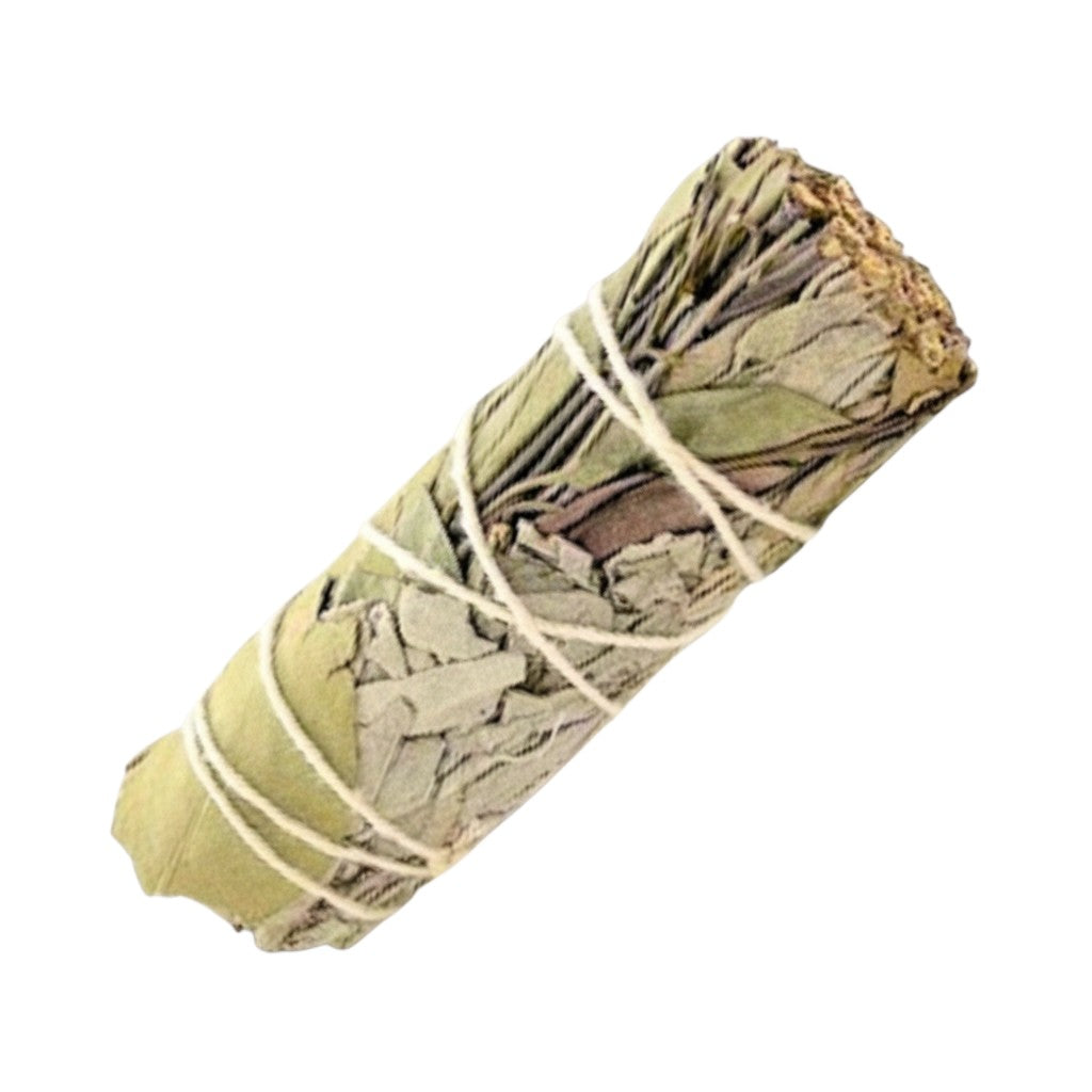 Sage Eucalyptus Smudge Stick