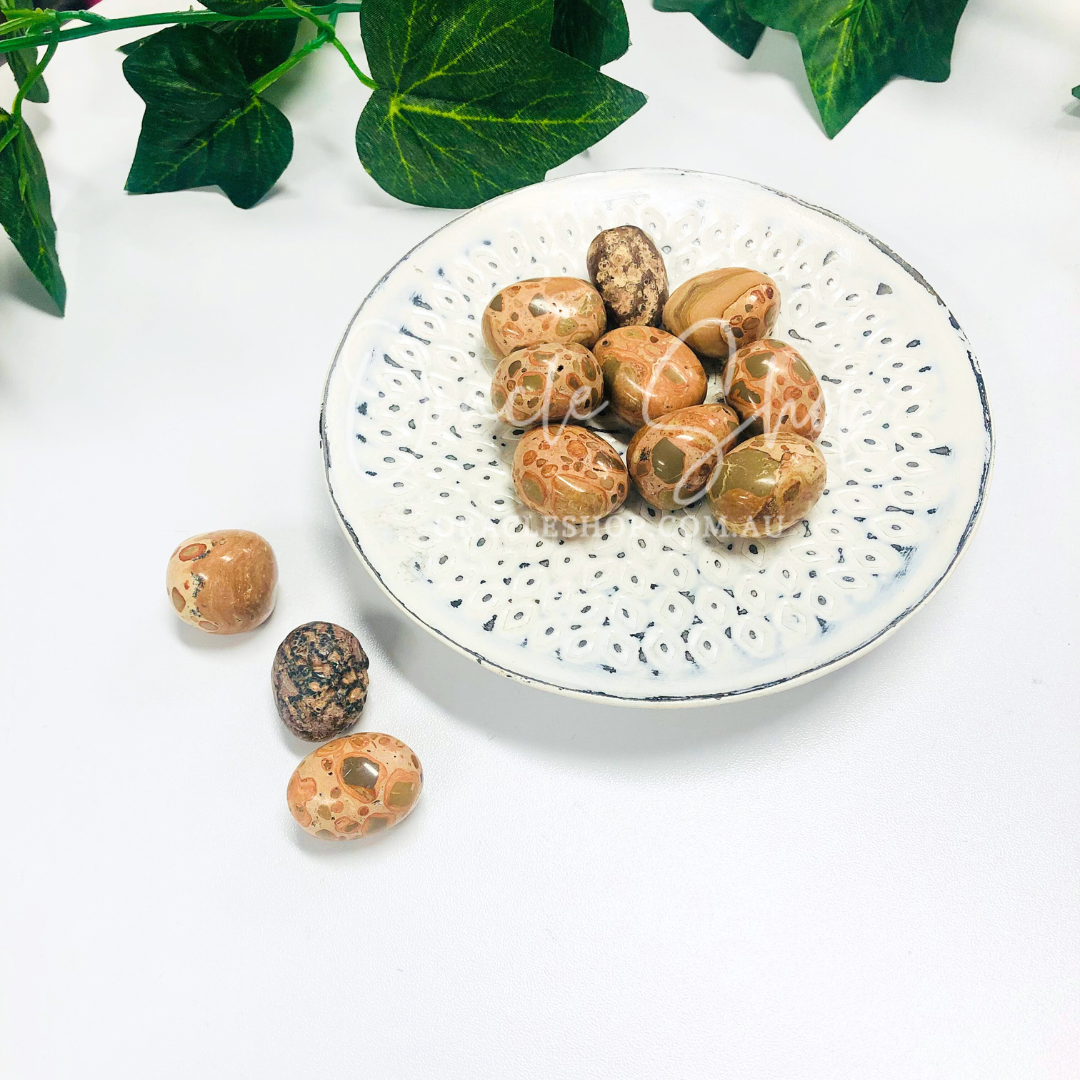 Leopardite Jasper Tumbles ~ Shamanic Journey & Boosts Strategic Thinking