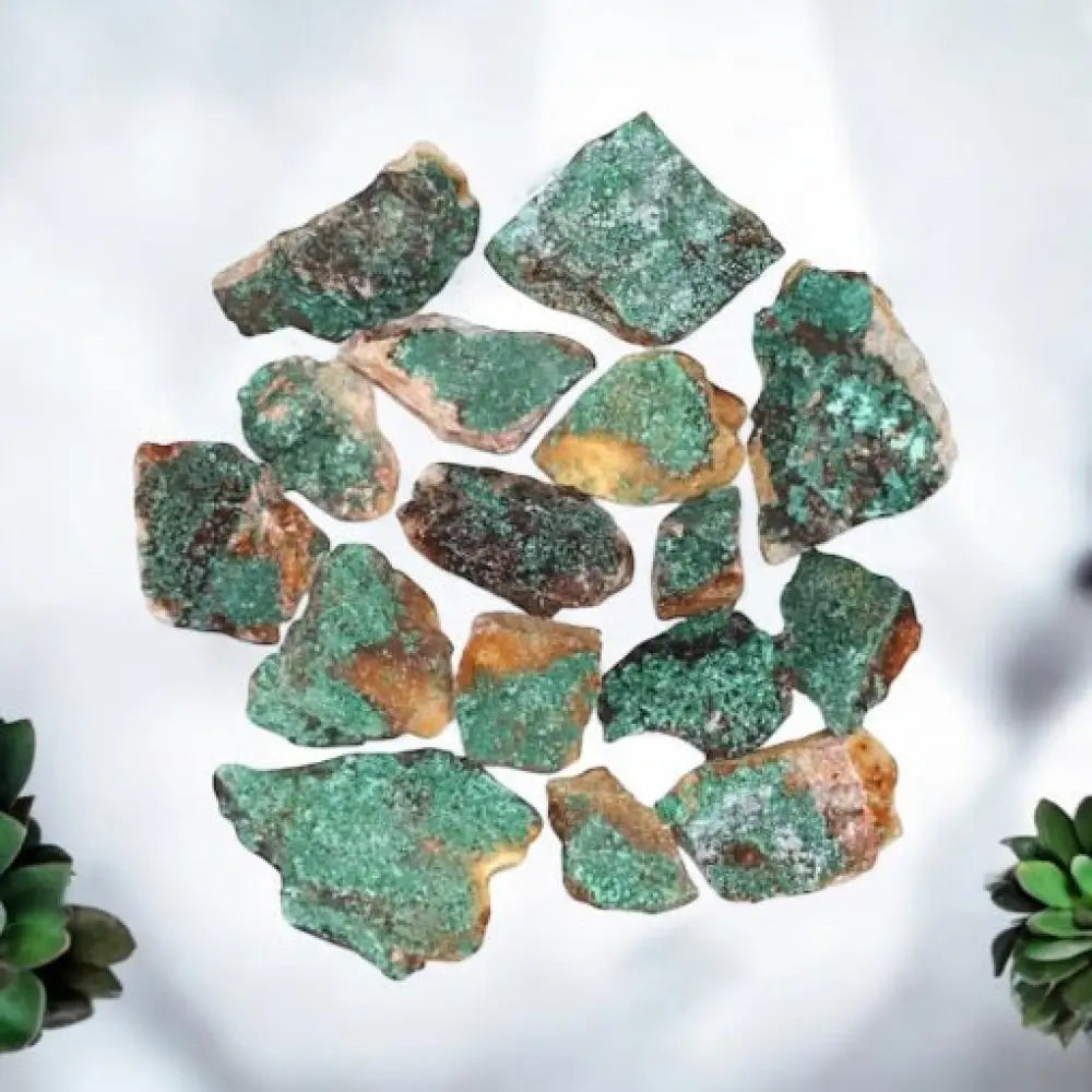 Malachite Rough Crystals - Medium rocks & fossils