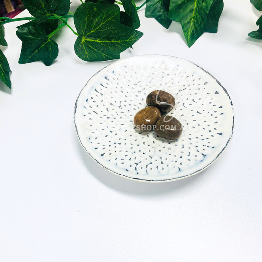 Petrified Wood Tumbles ~ Supports Persistence & Patience