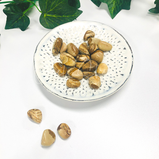 Picture Jasper Tumble ~ Grounds Anxious Energy & Stabilizes Vibes