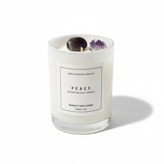 PEACE Intention Boxed Soy Candle: Amethyst / French Lavender