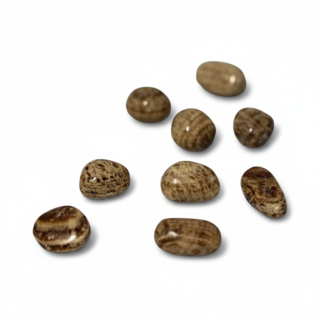Brown Aragonite Tumble ~ Grounding Energy & Clarity in Decisions