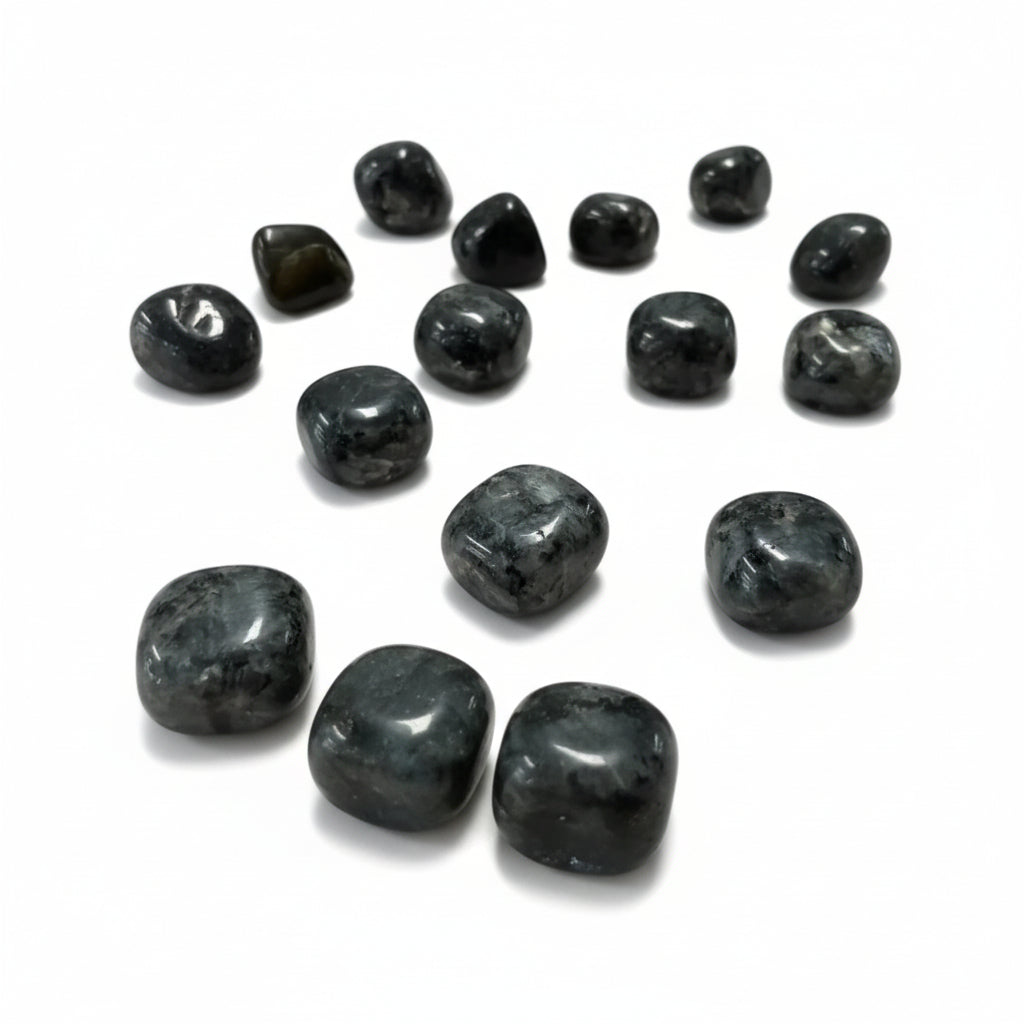 Larvikite Tumble ~ Supports Self Trust & Practical Problem Solving