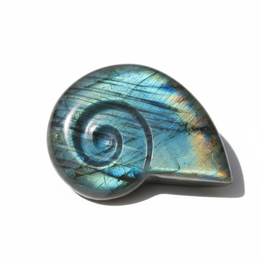 Labradorite Ammonite Carvings