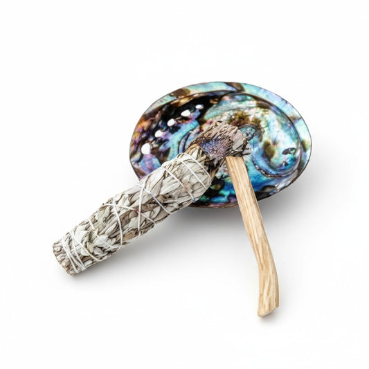 Abalone Shells - Natural Polished