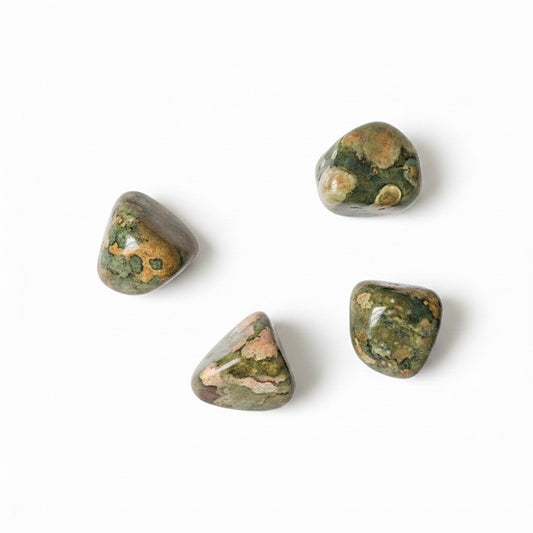 Rainforest Jasper - Rhyolite Tumbled Crystals ~ Vitality/Self Worth