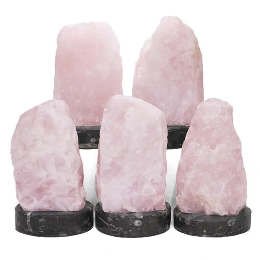 Rose Quartz Rough Lamp with Ancient Fossil Orthoceras Base crystal lamp