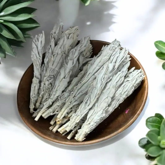 Sage Dreaming Sticks Large sage stick