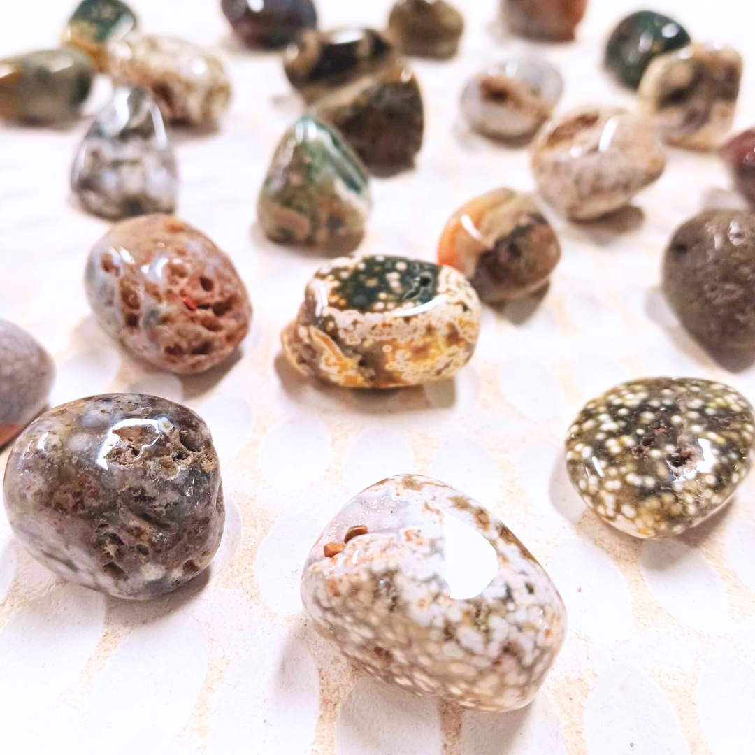 Coral Fossil Agate Tumble Crystals ~ Wisdom & Emotional Healing