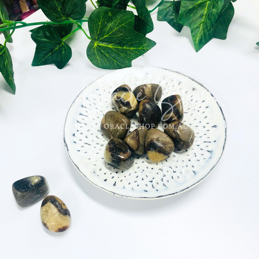 Septarian Tumbles ~ Patience and Grounding