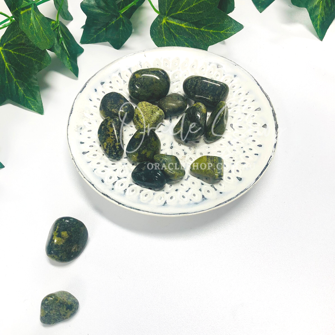 Serpentine Tumbled Crystals ~ Embrace Change & Shed the Old Patterns