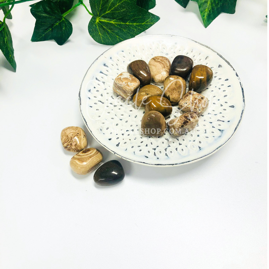 Stromatolite Tumbled Crystals ~ Connects to Life force & Ancient Memories