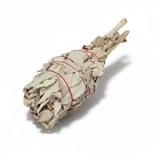 White Sage Mini Torch sage stick