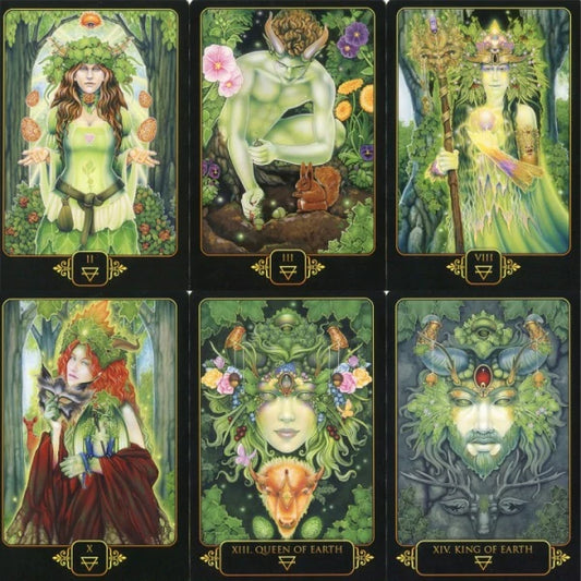 Dreams of Gaia Tarot - Ravynne Phelan