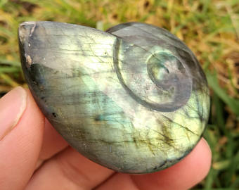 Labradorite Ammonite Carvings