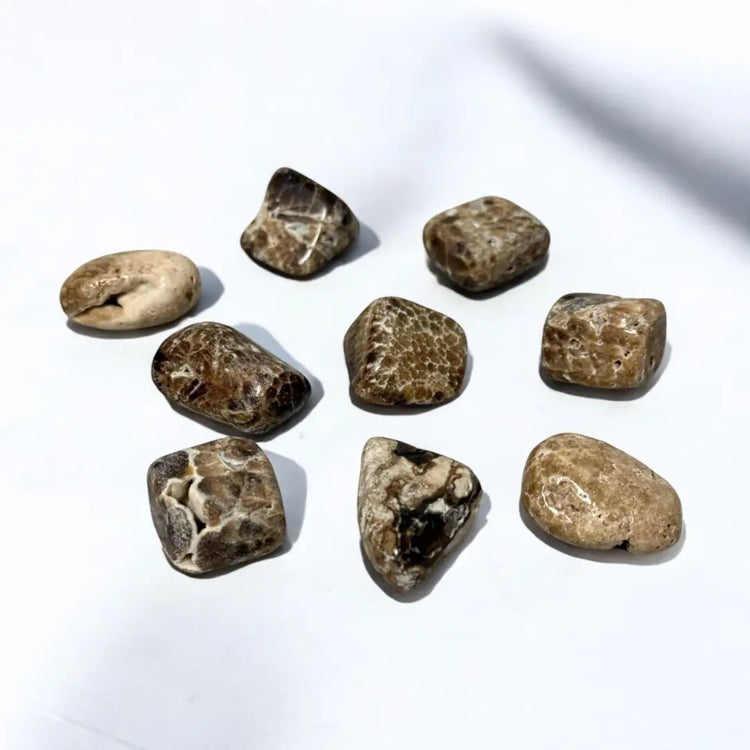 Chocolate Calcite