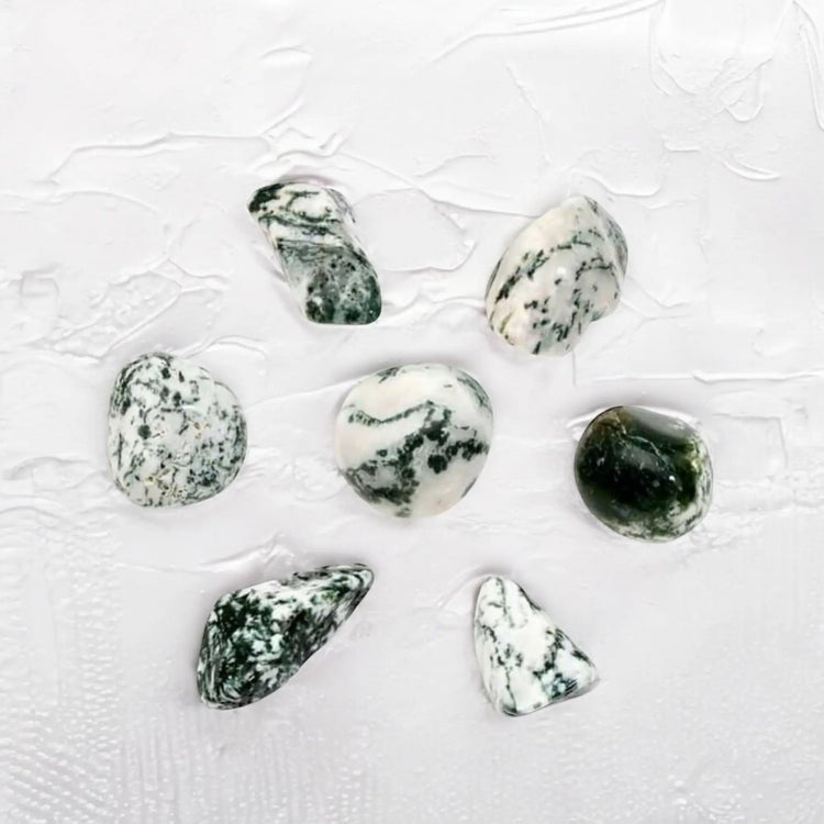 Tree Agate