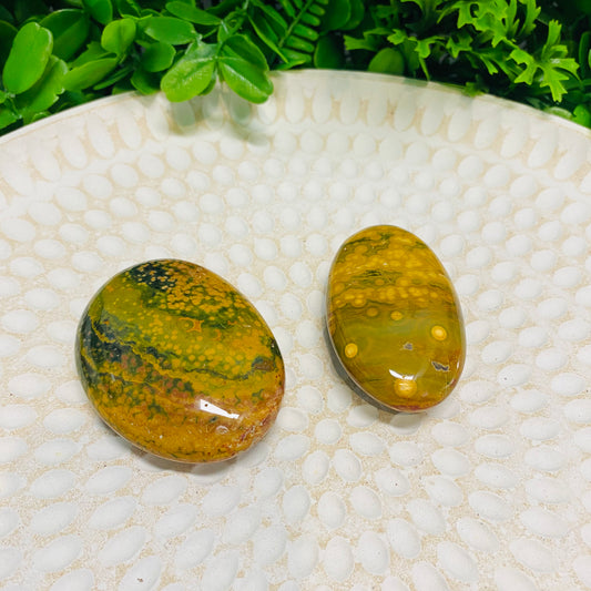 Rainforest Jasper  Palm Stones