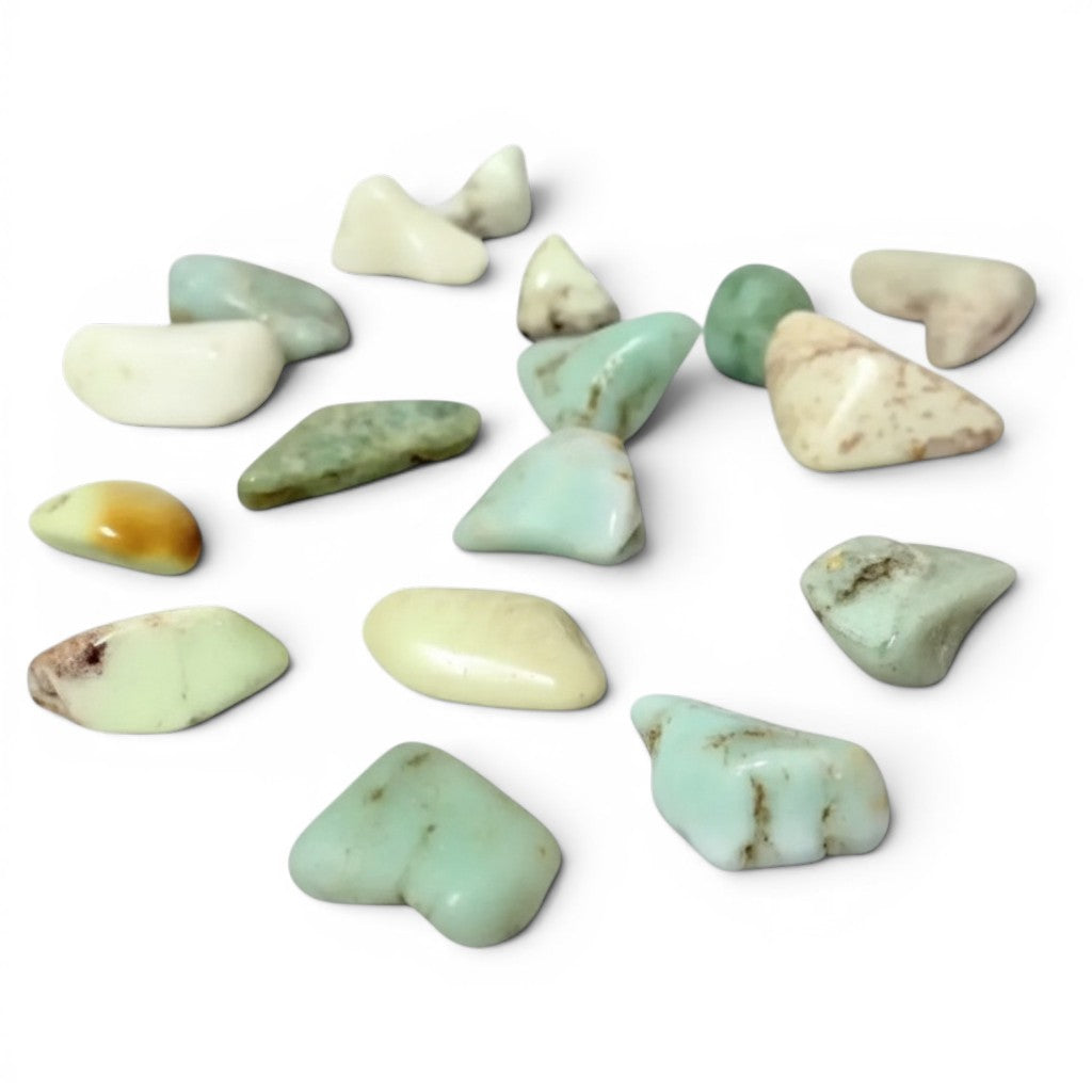Chrysoprase Tumbled Crystals ~ Heart Healer & Boosts Love Energy