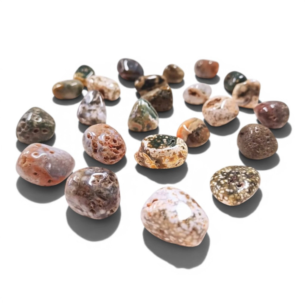 Coral Fossil Agate Tumble Crystals ~ Wisdom & Emotional Healing