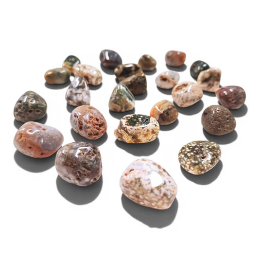 Coral Fossil Agate Tumble Crystals ~ Wisdom & Emotional Healing