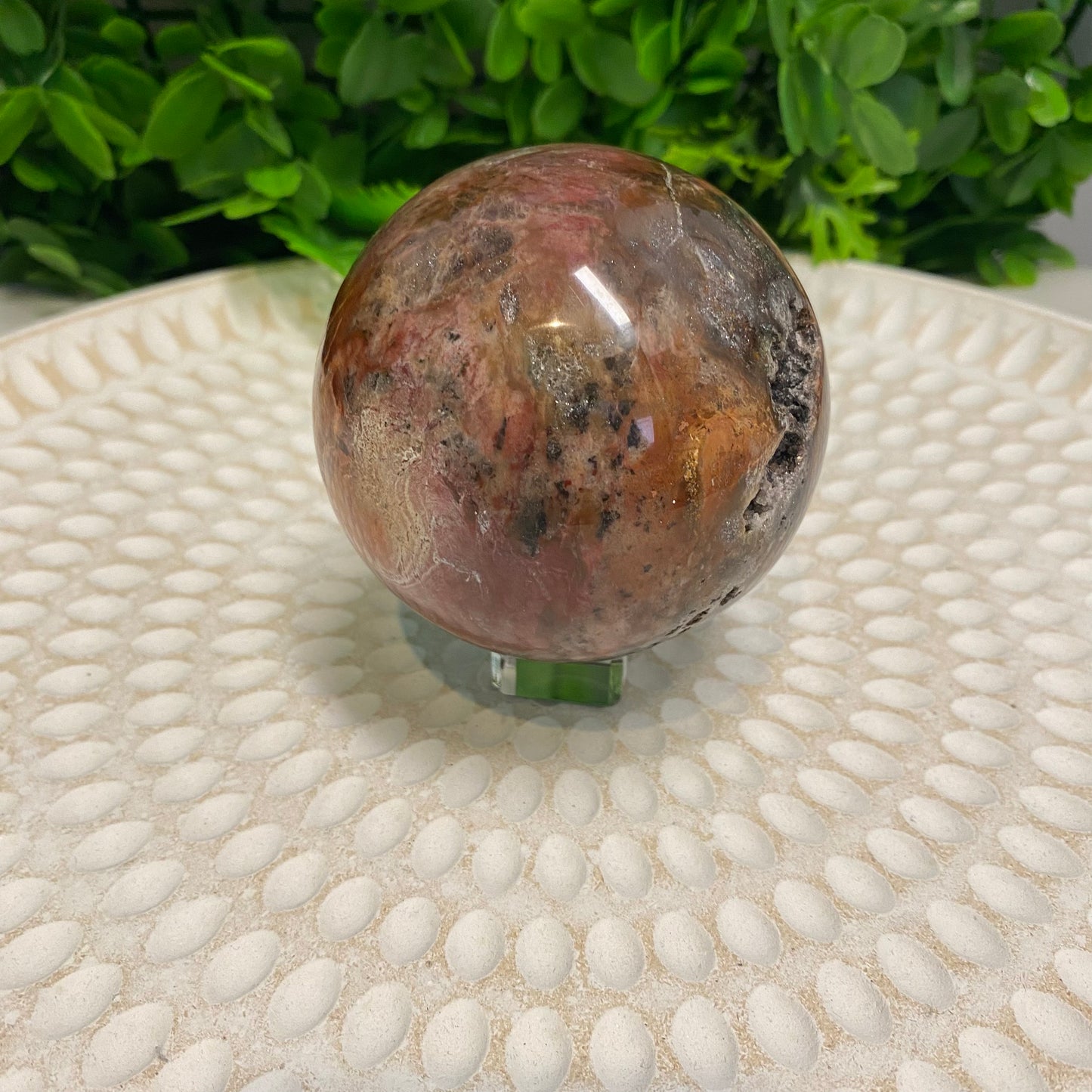 Petrified Wood Sphere 001