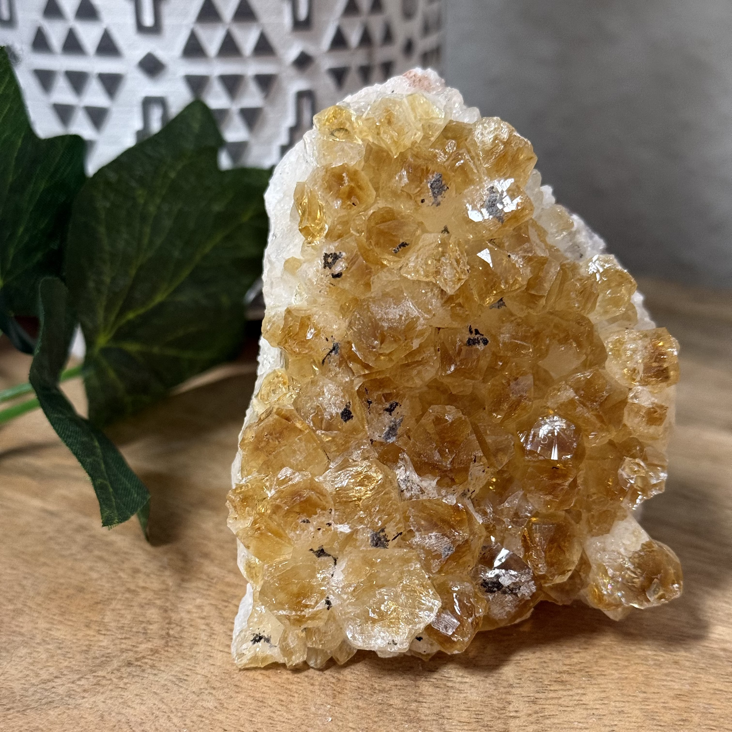 Citrine Geode - Standing Cut Base