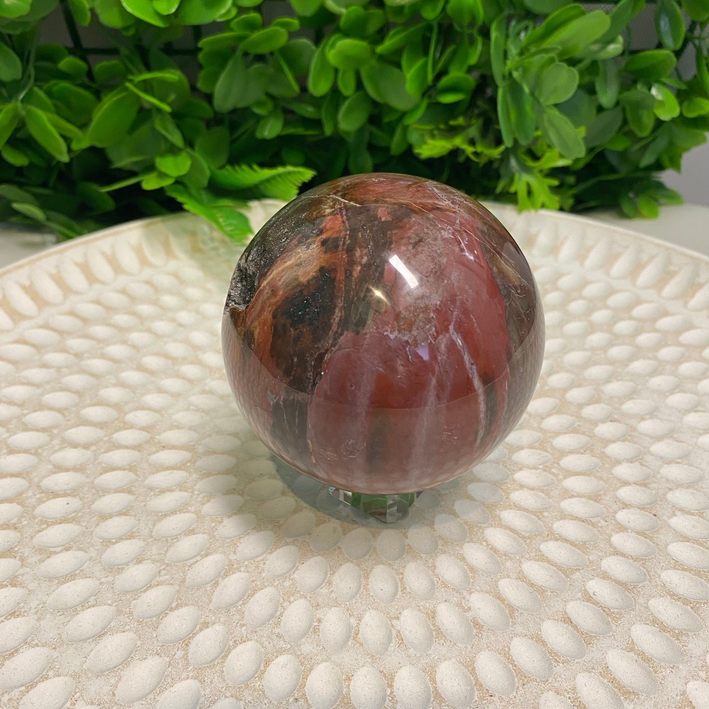 Petrified Wood Sphere 001