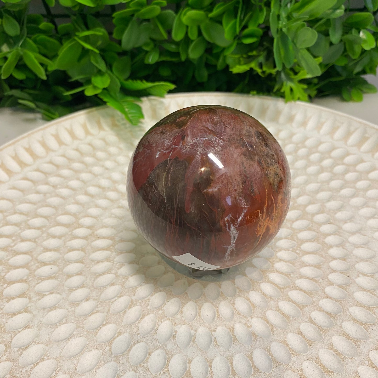 Petrified Wood Sphere 001