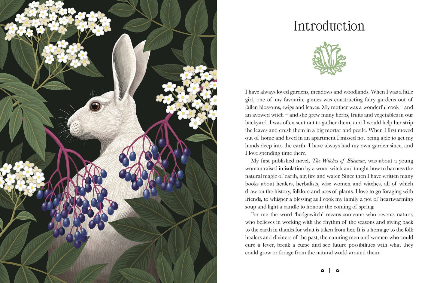 Kate Forsyth's Hedgewitch Oracle