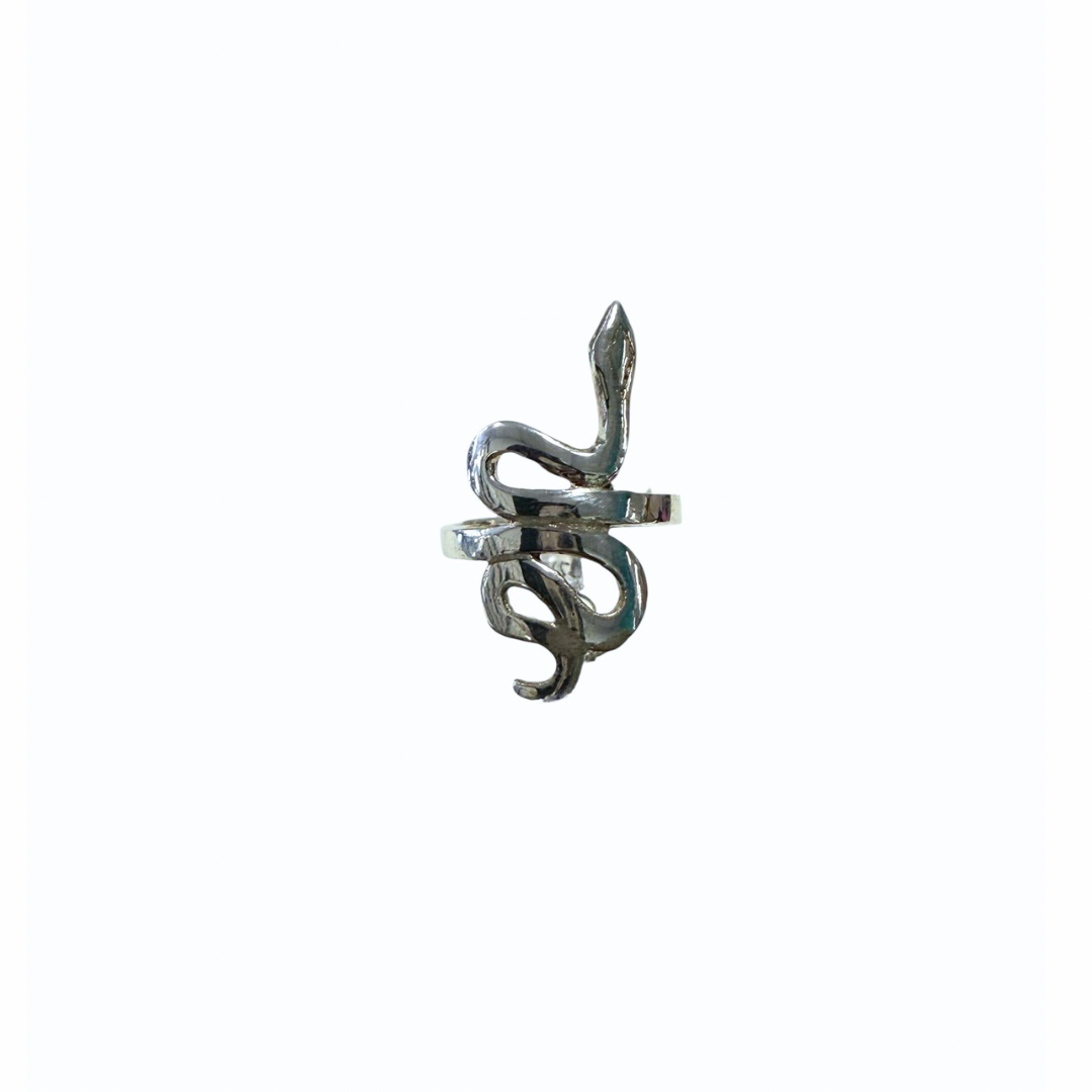 Snake Ring in Silver