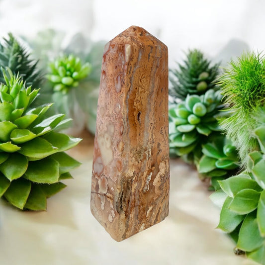 Pink Crazy Lace Obelisk 003