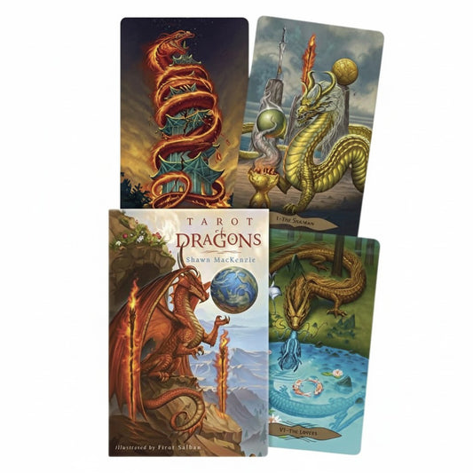 TAROT OF DRAGONS by MACKENZIE, SHAWN & SOLHAN, FIRAT