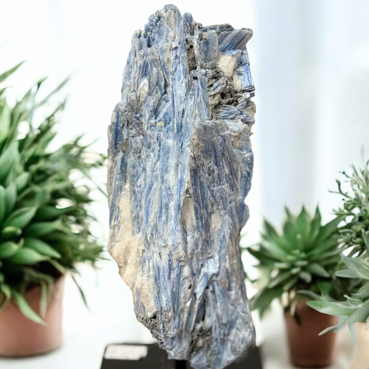 Blue Kyanite AAA+ Grade On Metal Stand
