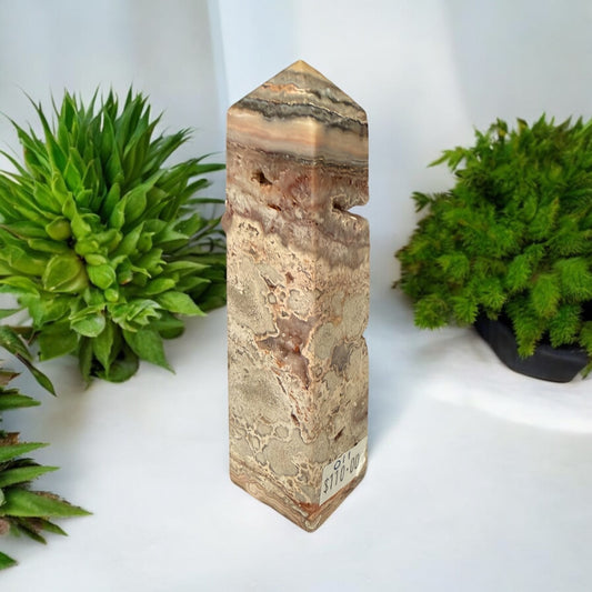 Pink Crazy Lace Obelisk 011