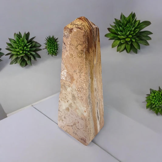 Pink Crazy Lace Obelisk 009