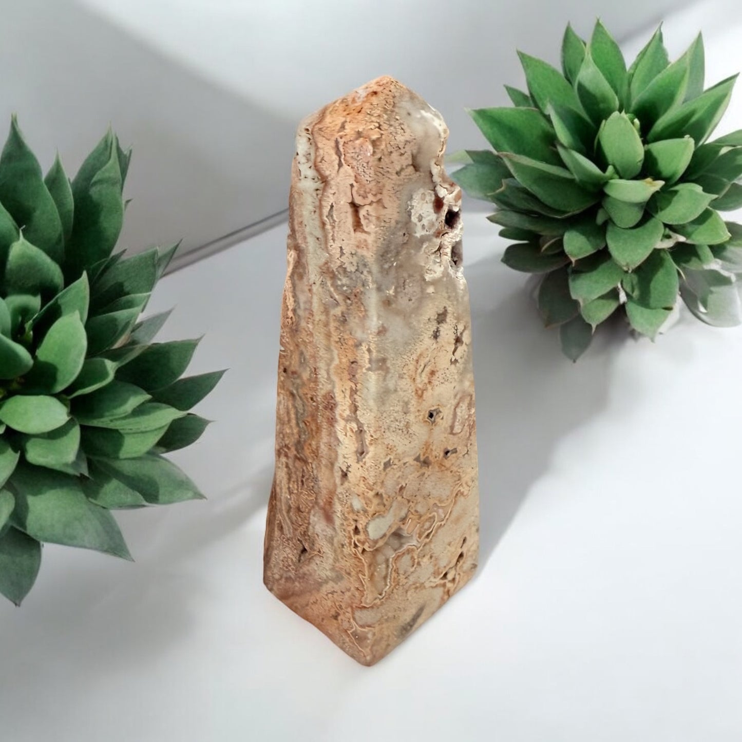 Pink Crazy Lace Obelisk 010