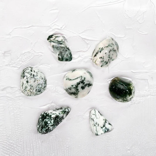 Tree Agate Crystal Tumble ~ Growth & Abundance