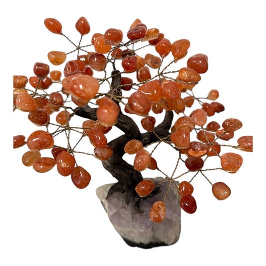 CARNELIAN Bonsai Crystal Tree 25