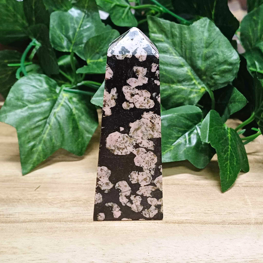 Plum Blossom Jasper Obelisk 001