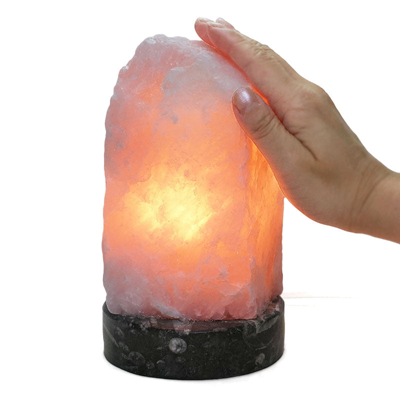 Rose Quartz Rough Lamp with Ancient Fossil Orthoceras Base