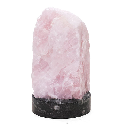Rose Quartz Rough Lamp with Ancient Fossil Orthoceras Base