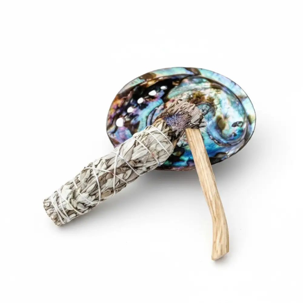 Abalone Shells - Natural Polished smudge